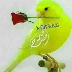 Meet your Posher, Danait